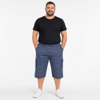 Бриджі чоловічі Sport великі розміри 2XL-6XL карго в клітку, Синій з блакитним, 4XL